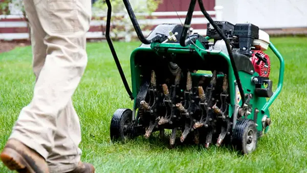 What To Do Before Aerating Lawn