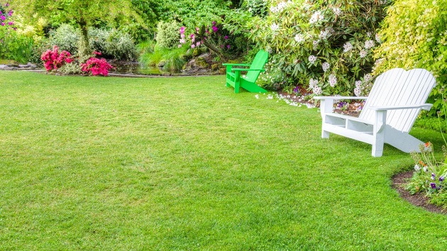 How To Fix Lawn With Different Types Of Grass